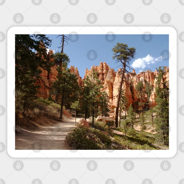 Bryce Canyon National Park Trail Sticker by H. R. Sinclair